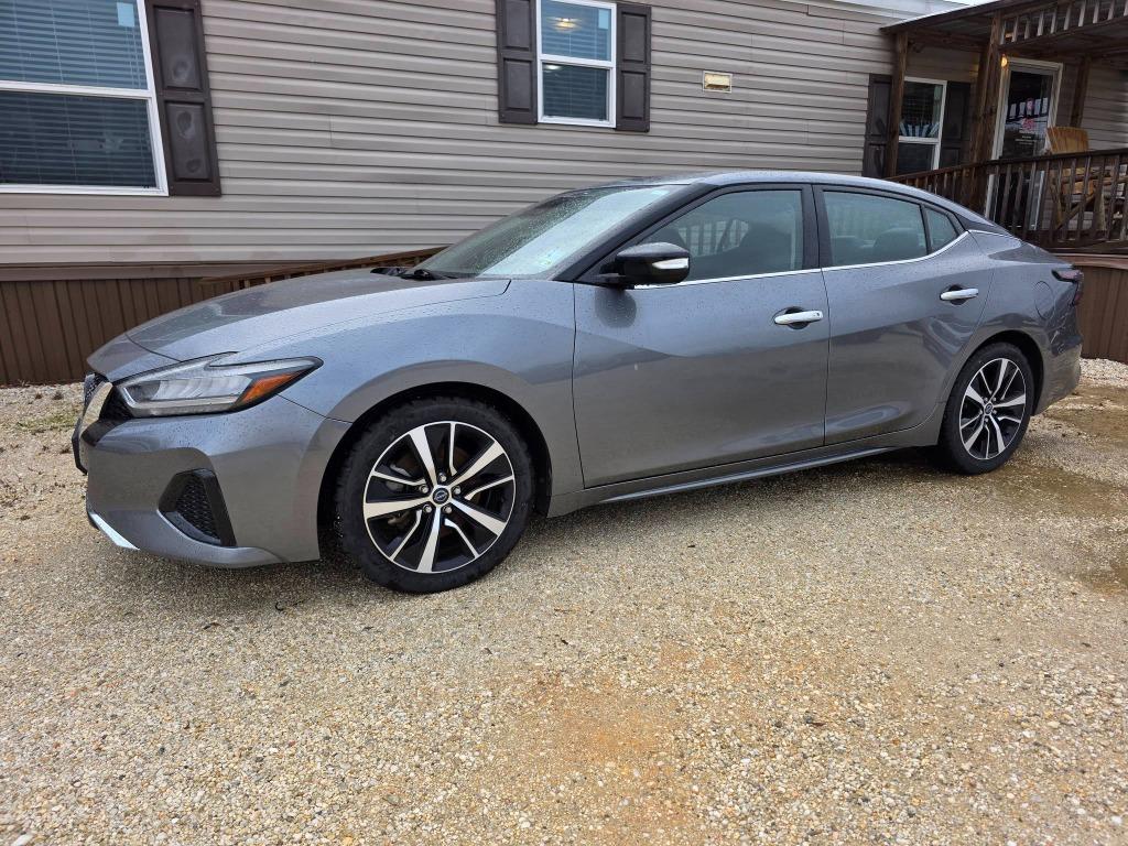 2023 Nissan Maxima SV's photo